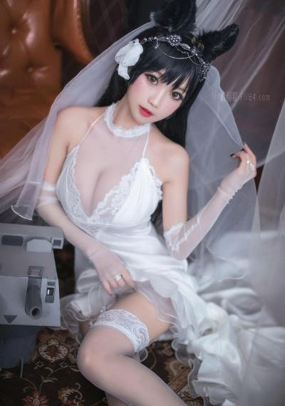 二炮手免费观看完整版在线播放_高清直播在线观看
