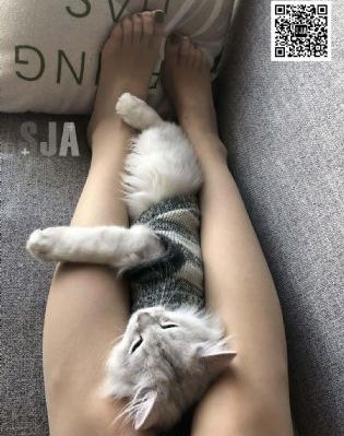 法国电影淫欲的代价_神马电影在线观看